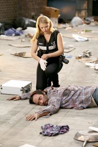 CSI: Vegas – CSI: Vegas (2013)