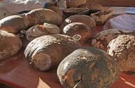 Brotzeit – Traditionell gebackenes Brot – wo gibt es noch das gute alte ehrliche Handwerk?
