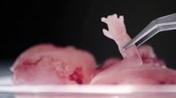 Unplanned – Sa, 19.09., 15:15 Uhr