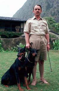 Magnum – Seine beiden Dobermänner Zeus und Apollo sind Jonathan Higgins' (John Hillerman) ganzer Stolz ...