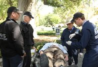 Navy CIS – Müssen in einem neuen Fall ermitteln: Tony (Michael Weatherly, l.), Gibbs (Mark Harmon, 2.v.l.), Ducky (David McCallum, 2.v.r.) und Jimmy (Brian Dietzen, r.) ...