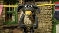 Shaun das Schaf – Timmy hängt an der Wäscheleine. Wer hat ihn da aufgehängt?