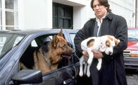 Kommissar Rex – Rex kann seinen Blick nicht von der Beagle-Dame wenden, die Kommissar Richie Moser (Tobias Moretti) mitnimmt.