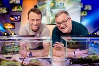 1, 2 oder 3 – Frosch-Experte Dr. Sebastian Lotzkat (l.) ist zu Gast bei "1, 2 oder 3".