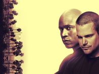 Navy CIS: L.A. – (10. Staffel) - NAVY CIS: L.A. - Artwork