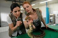 Tierärztin Dr. Mertens – MDR Fernsehen TIERÄRZTIN DR. MERTENS III. STAFFEL, FOLGE 44, "Am Scheideweg" Uhr. Die Boa hat Schnupfen! Für die unerschrockene Tierärztin Dr. Mertens (Elisabeth Lanz, l.) und ihre mutige Assistentin Anett (Anna Bertheau, r.) ist die Behandlung kein Problem.