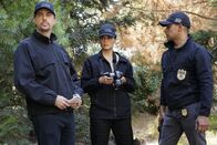 Navy CIS – (v.l.n.r.) Timothy McGee (Sean Murray); Jessica Knight (Katrina Law); Nick Torres (Wilmer Valderrama)
