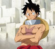 One Piece – Fr, 12.08., 18:30 Uhr
