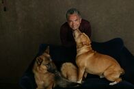 Der Hundeflüsterer – Cesar Millan arbeitet zusammen mit den Hundehaltern an den täglichen Problemen zwischen Besitzer und Tier ...