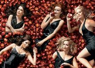 Desperate Housewives – (2. Staffel) - Gelangweilte Hausfrauen machen sich ihr Leben gegenseitig zur Hölle: Lynette Scavo (Felicity Huffman, 2.v.r.), Bree Van De Kamp (Marcia Cross, M.), Gabrielle Solis (Eva Longoria, 2.v.l.), Edie Britt (Nicollette Sheridan, r.) und Susan Mayer (Teri Hatcher, l.) ...