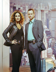 CSI: NY – CSI: NY (2010)
