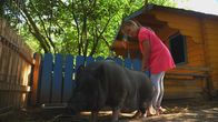Sesamstraße – Lisa pflegt ihr Schwein.