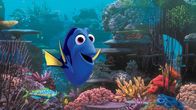 Findet Dorie – Dorie