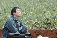 Hawaii Five-0 – Muss sich mit einem Geist aus seiner Vergangenheit beschäftigen: Max (Masi Oka) ...