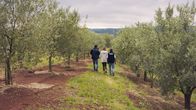 Frisch serviert – Mi, 05.10., 13:05 Uhr