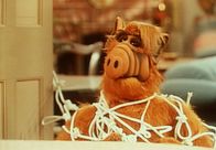 Alf – Alf (1989)