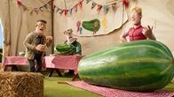 Shaun das Schaf – Wer hat die schönsten Zucchini? Der Farmer ärgert sich über Farmer Ben.