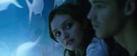 The Signal – The Signal (2014)