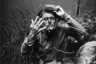 DOK – Hans Hass