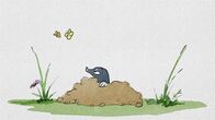 Ich kenne ein Tier – Alle Tiere sind zu zweit â€“ nur der Maulwurf ist allein. Traurig geht er daher allein Würmer fangen. Aber die Würmer im â€žIch kenne ein Tierâ€ś-Trickfilm â€žDer Maulwurf und der Regenwurmâ€ś sind schneller als er dachte â€¦