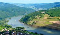 Der Rhein von oben – Das "Binger Loch", auf halber Strecke zur Mündung gelegen, ist eine der gefährlichsten Passagen des Rheins für den Schiffsverkehr.