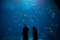 Das Atlanta-Aquarium – Sa, 03.12., 12:30 Uhr
