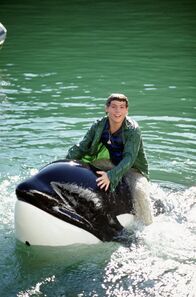 Free Willy 3 - Die Rettung – Free Willy 3 - Die Rettung (1997)