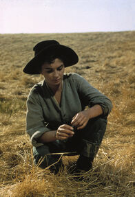 Weites Land – Weites Land (1958)