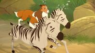 Lassie – In einer spektakulären Aktion hat Lassie die ausgebrochenen Zebras unter ihre Kontrolle gebracht und galoppiert mit ihnen zurück zum Zirkuszug.
