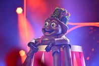The Masked Singer – Der Floh