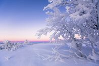 Will Smith - Wundersame Welt – Kautokeino, NORWAY - The frozen expanse of Kautokeino in Norway, where beneath the thick frozen blanket of snow, something surprising grows and helps sustain life. (photo credit: National Geographic)