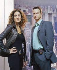 CSI: NY – CSI: NY (2010)