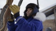 Alaska - Eisige Tradition – Jody Potts-Joseph schnitzt und formt einen Diamantweidenzweig. (National Geographic)