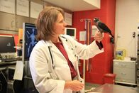 Jurassic C.S.I. – Philadelphia Veterinary School: Veterinarian Dr. Karen Rosenthal and a juvenile grey inside the lab.
