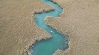 Mei liabste Weis – Der Schilf-Mäander am Faaker See wird von Einheimischen auch Everglades genannt.
