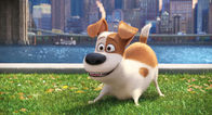Pets – Pets (2016)