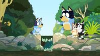 Bluey – Mi, 04.01., 07:05 Uhr