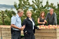WaPo Bodensee – Nele (Floriane Daniel, r.) und ihr neuer Kollege Paul Schott (Tim Wilde, l.) ermitteln auf der Streuobstplantage von Vera (Fiona Coors, im HG l.) und Fred Romberg (Jochen Nickel, im HG r.).