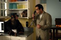 Monk – Kann Adrian Monk (Tony Shalhoub, r.) die Unschuld des Schimpansen Darwin (l.) beweisen?