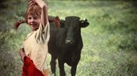 Pippi Langstrumpf – Mit einer Torero-Einlage gelingt es Pippi (Inger Nilsson) den Stier müde zu machen, bevor er dem kleinen Nisse etwas antun kann.