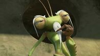 Insectibles – Mantisaki ist von Zak beeindruckt.