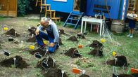 Löwenzahn Classics – Mit einer besonderen Alarmanlage möchte Peter Lustig den Maulwurf in seinem Garten fangen.
