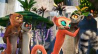 King Julien – Sa, 05.04., 06:00 Uhr