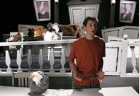 Malcolm mittendrin – Reese (Justin Berfield)