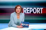 Report – Susanne Schnabl