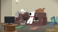 Family Guy – Brian Griffin