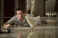 Hangover – Doug steht kurz vor der Hochzeit. Bevor die Falle zuschnappt, will er noch einmal so richtig einen draufmachen. Er fährt mit seinen Kumpeln Phil, Stu (Ed Helms) und seinem zukünftigen Schwager Alan nach Las Vegas. Sie sind wild entschlossen, die Nacht durchzufeiern. Als die drei Trauzeugen am nächsten Tag im Hotelzimmer verkatert aufwachen, finden sie allerlei unbekannte Gäste vor, aber keinen Bräutigam ...
