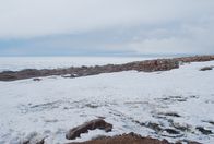 Mysteriöse Inseln – Mysteriöse Pinguinreste werden auf Lamplugh Island entdeckt, einem Ort, der für diese kurzbeinigen Kreaturen unerreichbar ist. (Kredit: Steven Emslie)
