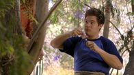 Workaholics – Adam DeMamp (Adam Devine)