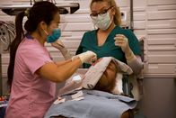 Dr. Pimple Popper – Dr. Sandra Lee and Medical Assistant Kristi perform surgery on Josh.